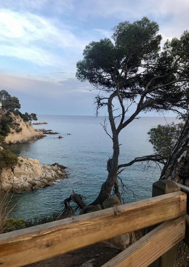 Апартаменты Les Terrasses De Cala Llevado Тосса-де-Мар Экстерьер фото