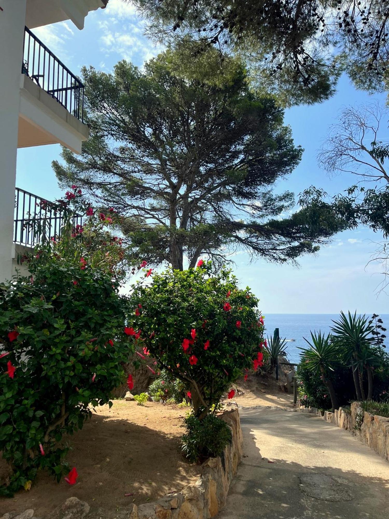 Апартаменты Les Terrasses De Cala Llevado Тосса-де-Мар Экстерьер фото